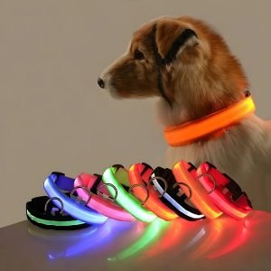 Dog Collar Nylon LED Night Safety Flashing Glow In The Dark Pet Dog Leash