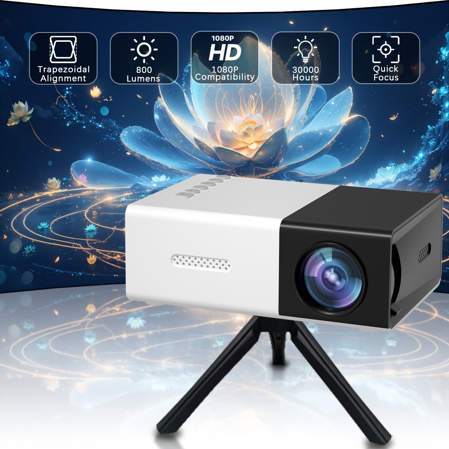 0daf970d-072c-4a18-833c-16faf262c737.jpg 2