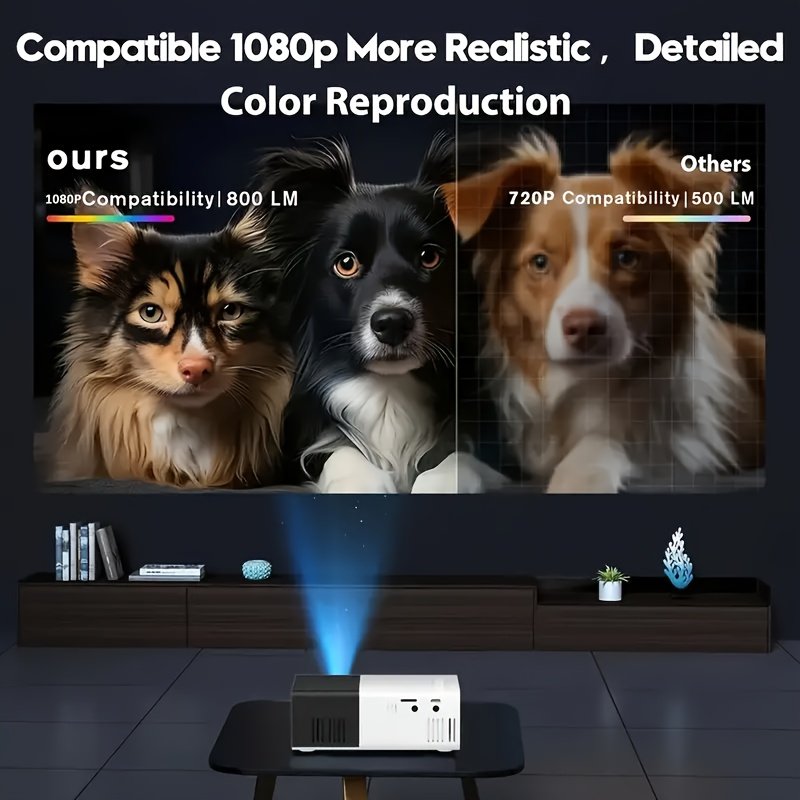 969886e2-d09d-43ab-9899-a882d4d1d3c8.jpg 4