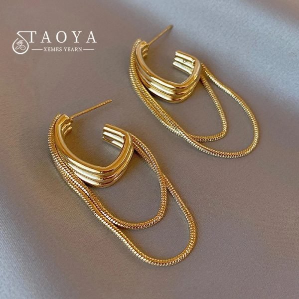 Feminine Temperament Metal Tassel Geometric Earrings New Design Jewelry