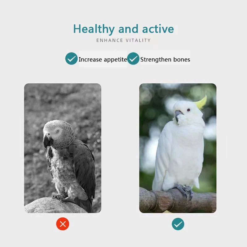 img_aliexpress_1728143631.jpeg 1