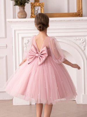 Young Girl Puff Sleeve Bow Tulle Princess Dress, Suitable For Christmas, Birthday Party, Masquerade Ball, Flower Wedding Ceremony
