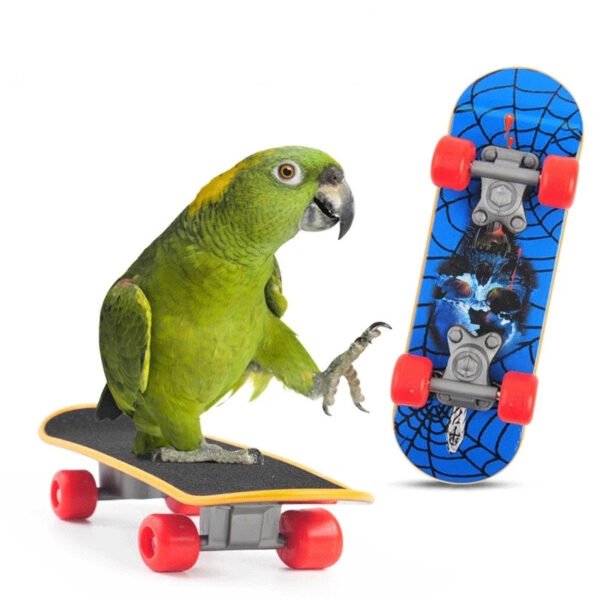 1 PC Parrot Training Skateboard Bird Supplies Skates Lovebird Canaries Perch for Parrots For Birds Calopsita Birds Accessories
