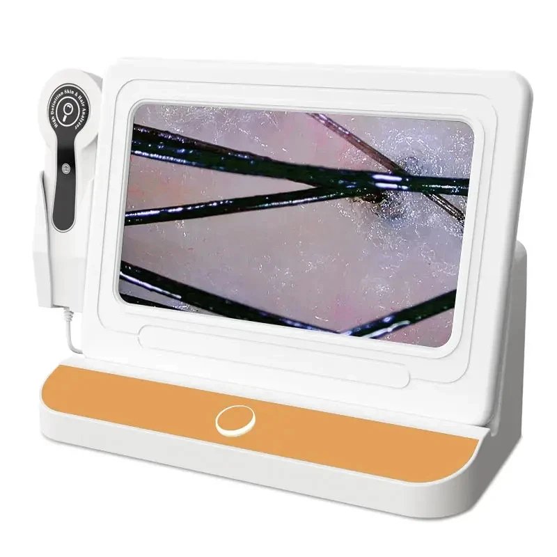 img_aliexpress_1738089230_2.jpeg 3