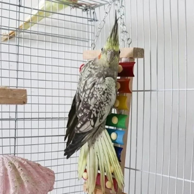 img_aliexpress_1738321075_1.jpeg 2