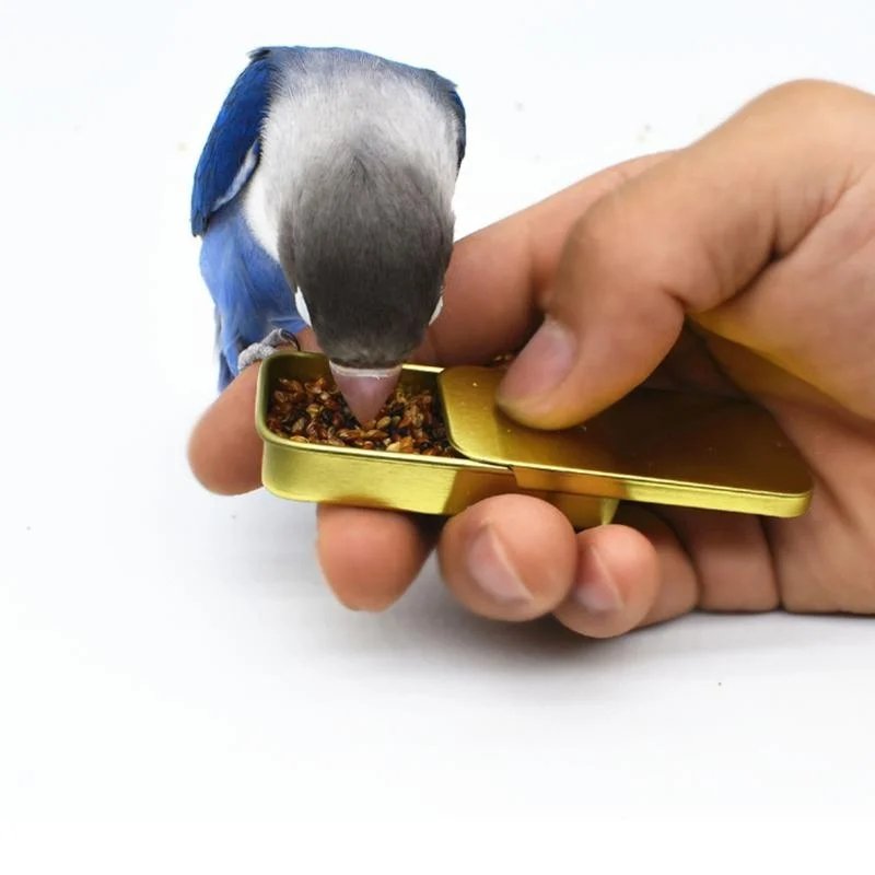 img_aliexpress_1738321732_8.jpeg 9