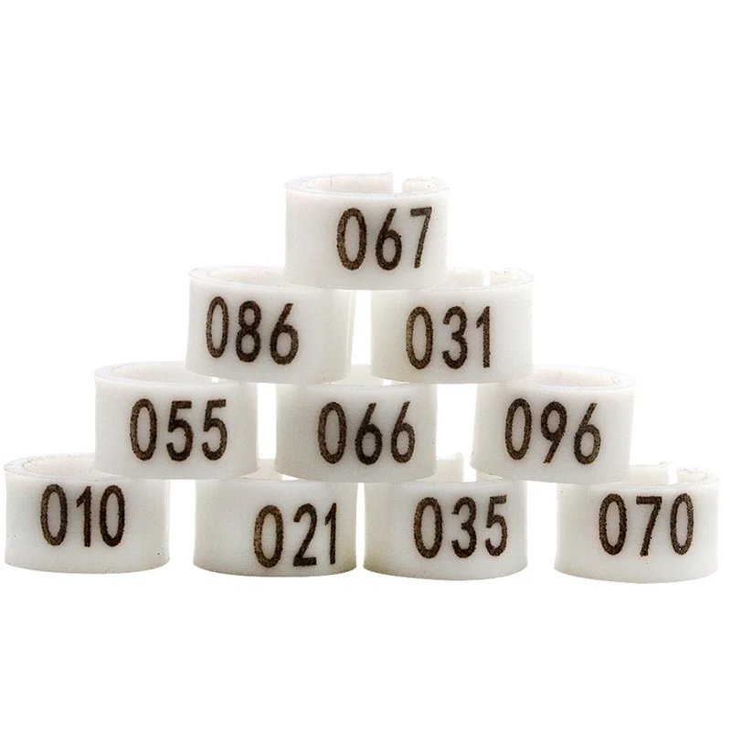 img_aliexpress_1738323173_1.jpeg 2