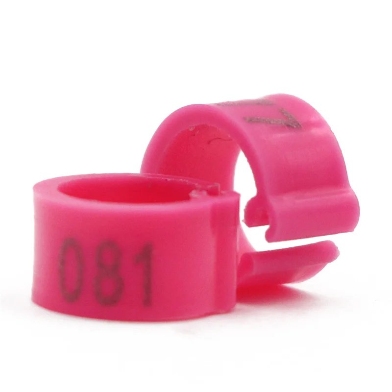 img_aliexpress_1738323174_5.jpeg 16