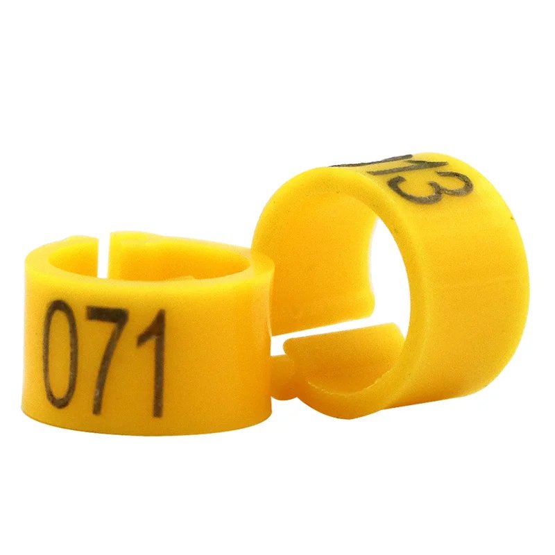 img_aliexpress_1738323177_11.jpeg 22