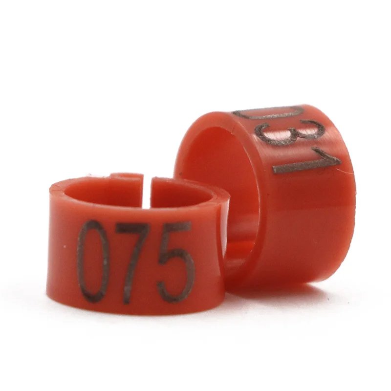 img_aliexpress_1738323177_12.jpeg 23