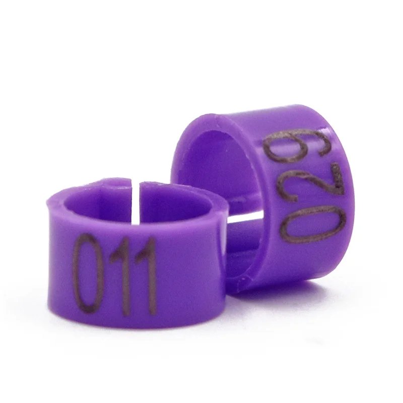 img_aliexpress_1738323178_13.jpeg 24